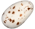 Vanilla